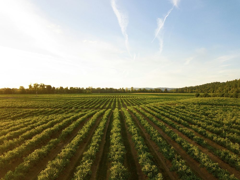 Pregătește sezonul cu produse agricole profesionale